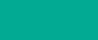 Verde Menta Lucido Ral 6029 400 ml