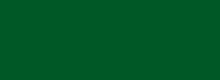 Verde Muschio Opaco Ral 6005