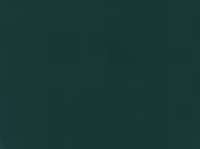 Verde Bosco brillante 750 ml