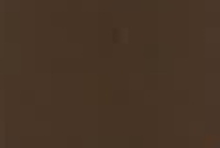 Nocciola brillante 750 ml